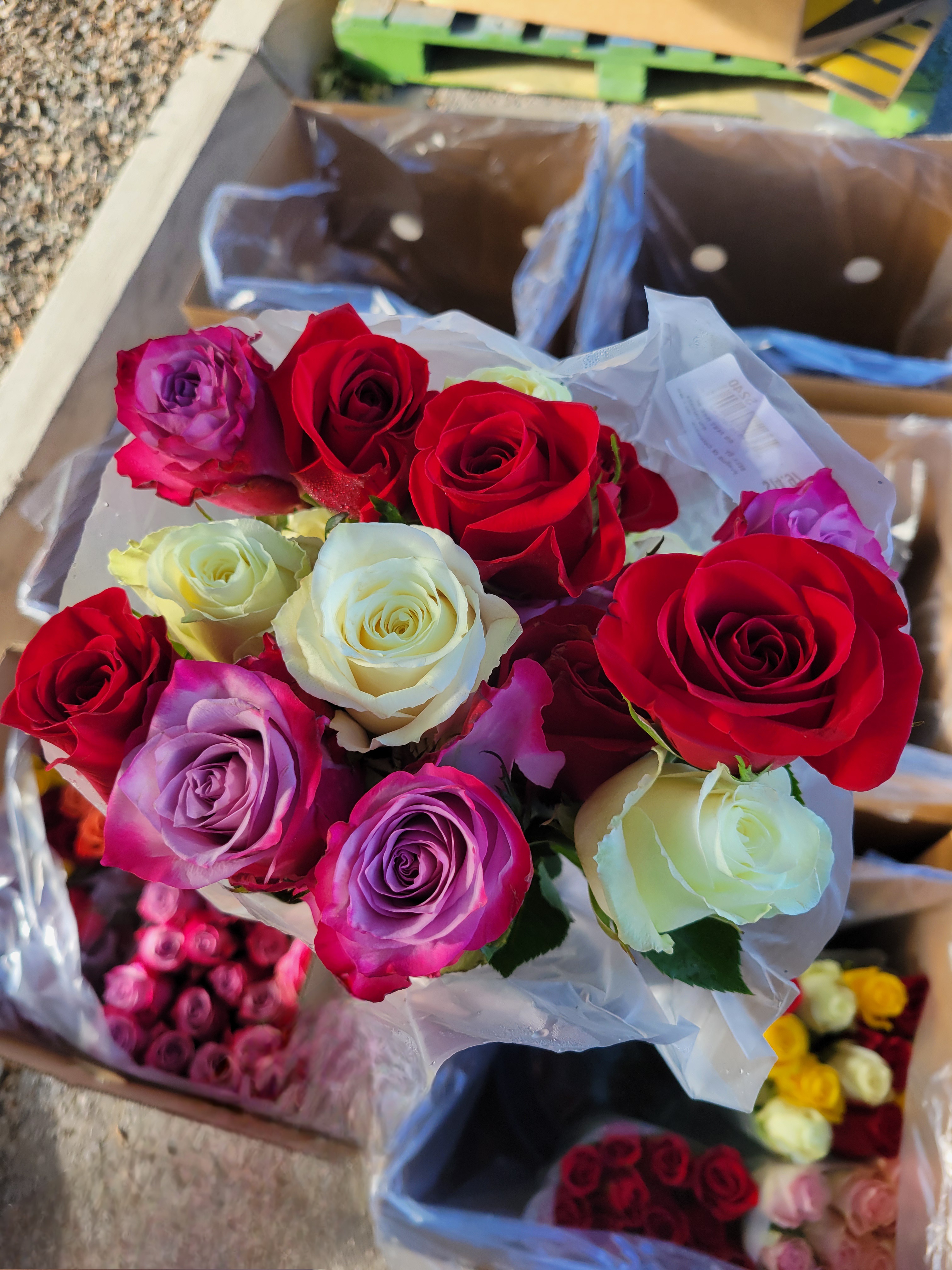 Red, white, and purple roses bouquet with boxes of roses under it.